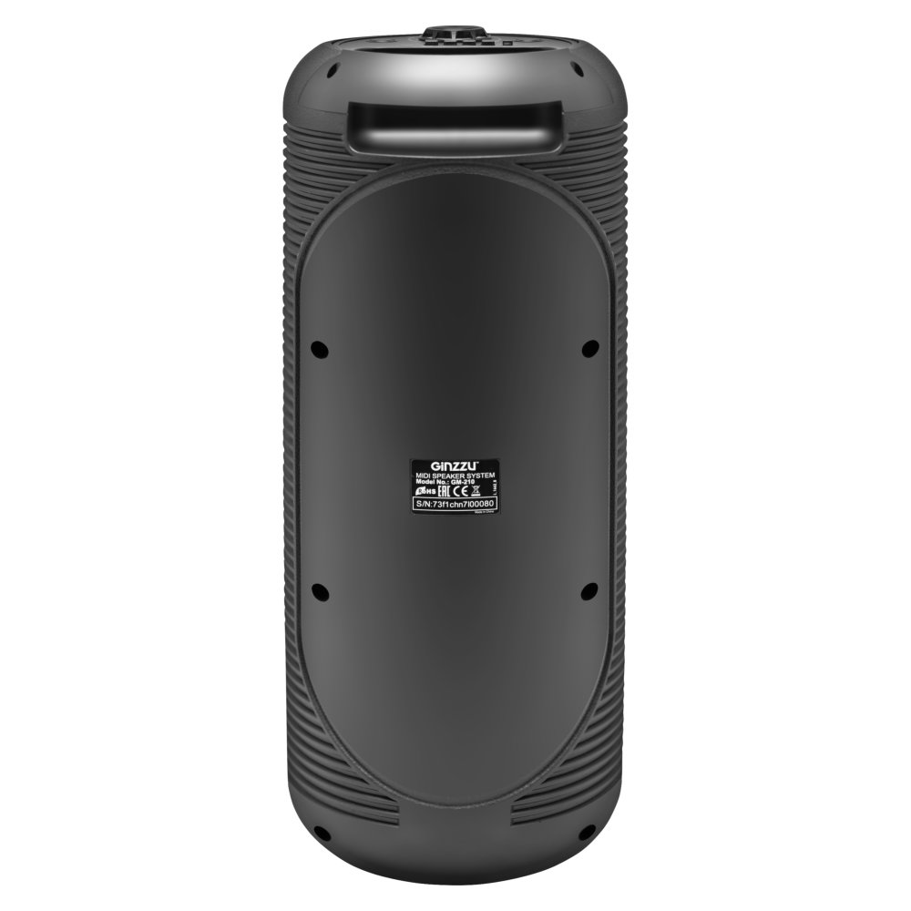 Колонка Ginzzu GM-210, Акустическая система Midi RGB/BT/USB/TF/FM/ДУ